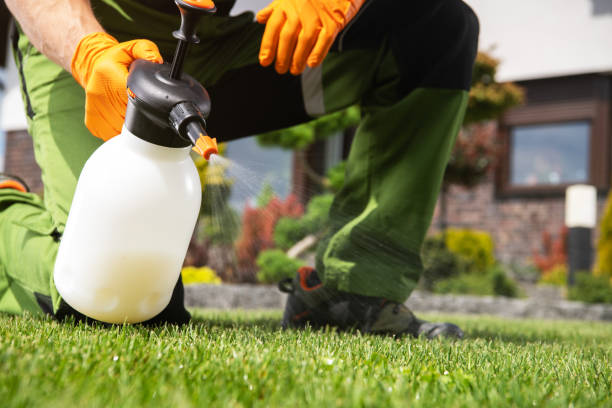 Best Pest Control Near Me in Carpinteria, CA