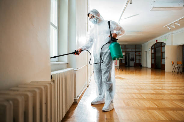 Best Affordable Pest Control Services  in Rpinteria, CA